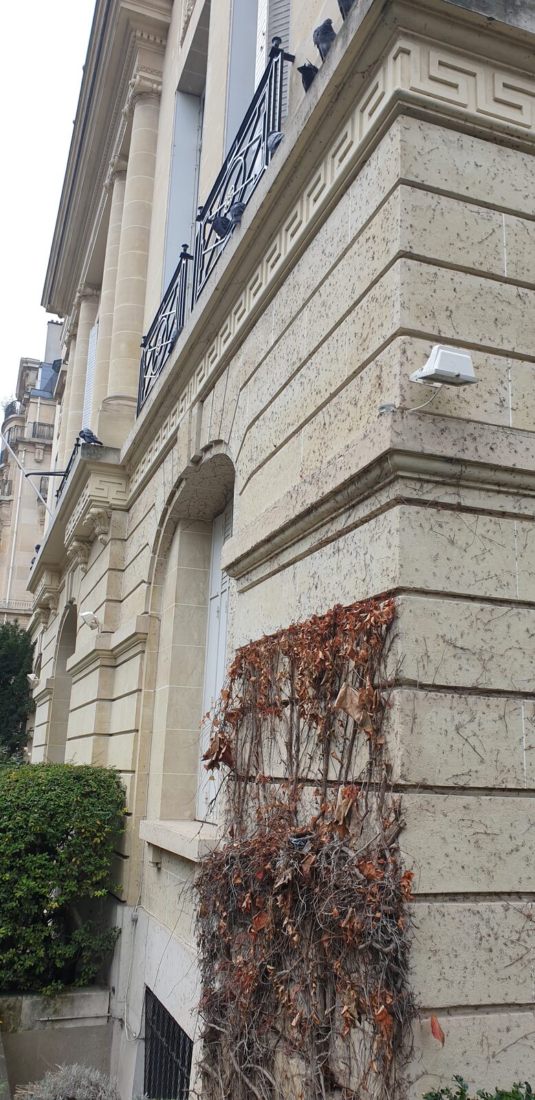 Rénovation complète · Le Vésinet