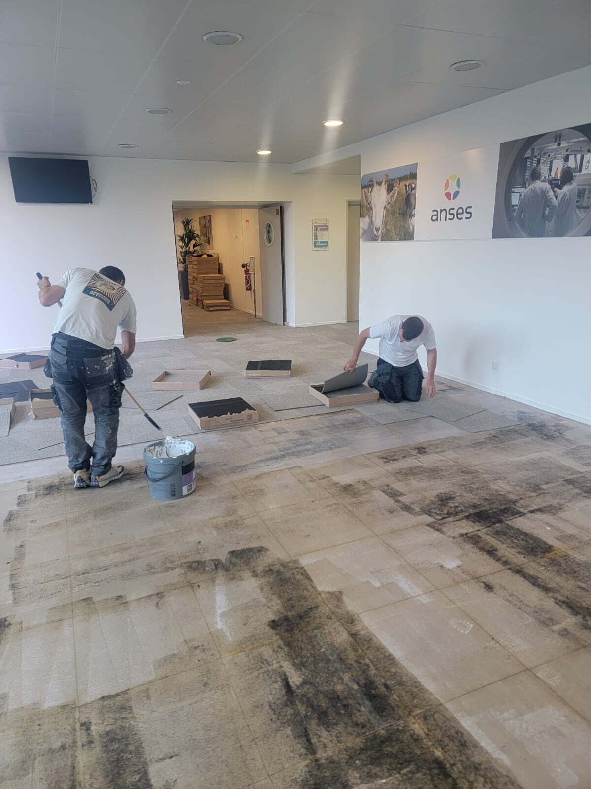 Rénovation intérieure · Le Vesinet